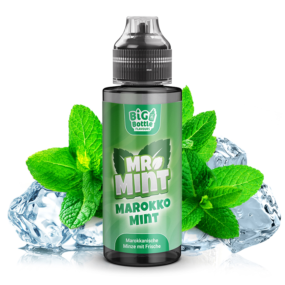 Mr. Mint Aroma Longfill - Marokko Mint -10ml in 120ml Flasche 